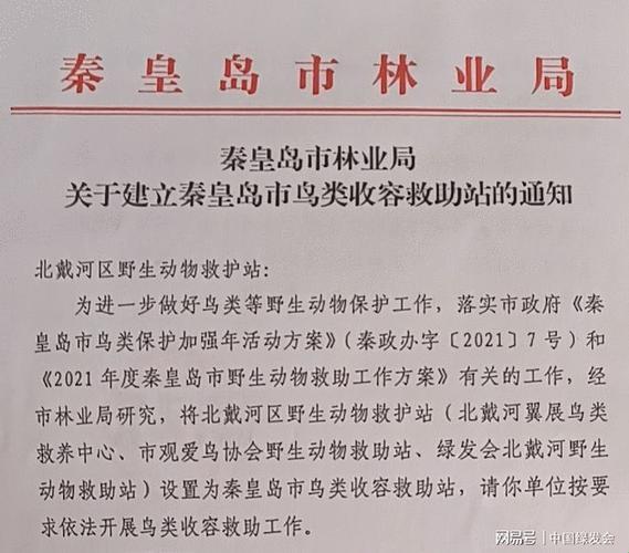 鸟类救助站24小时热线？笑话一场！