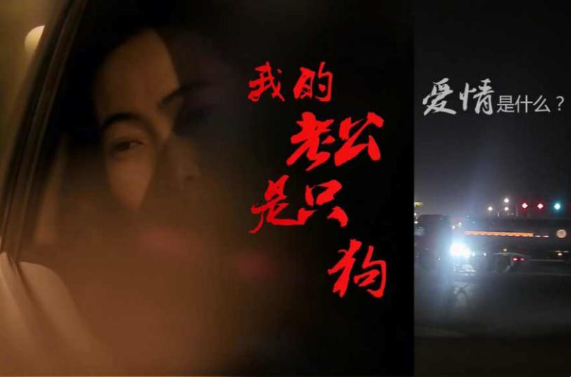 白天“汪”声一片，夜晚“汪”也不孤单：张淑敏现象的幽默解码