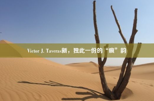 Victor J. Taveras新，独此一份的“疯”韵